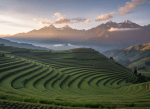 Paisaje andino con andenes verdes al amanecer, montañas al fondo, cielo ligeramente nublado, estilo fotográfico realista, ambiente sereno e inspirador